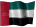 Emirati Flag