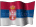 Serbian Flag